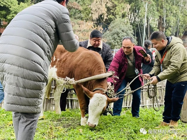 成都農耕節你知道嗎？