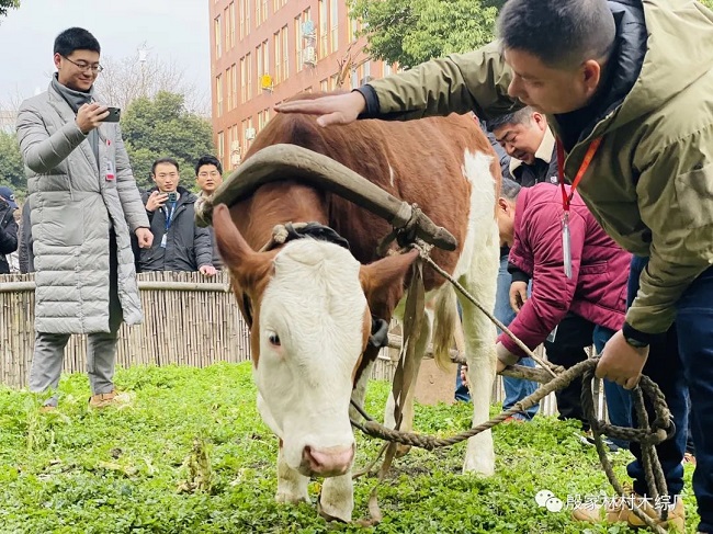 成都農耕節你知道嗎？